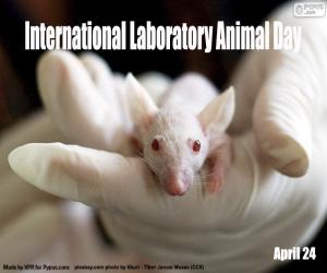 yapboz Uluslararası Laboratuvar Hayvan Günü